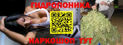 стафф Краснодар