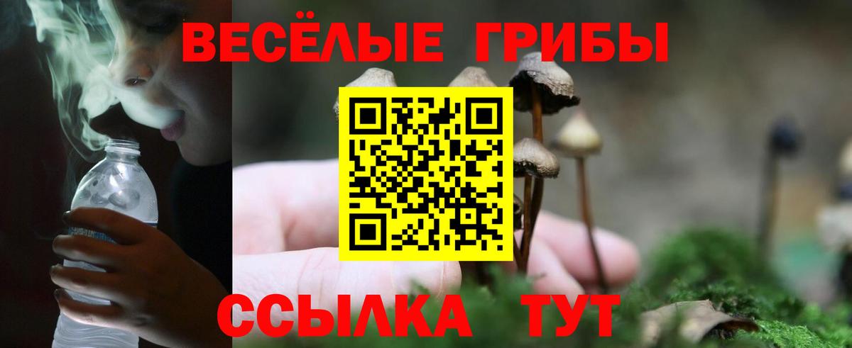 Псилоцибиновые грибы GOLDEN TEACHER Когалым