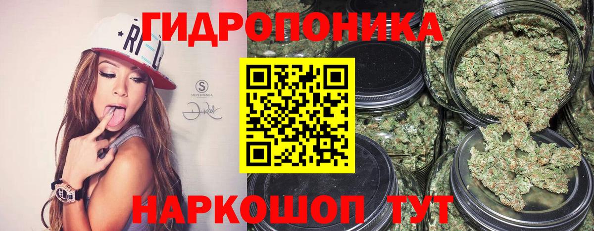 Бошки марихуана сатива Когалым